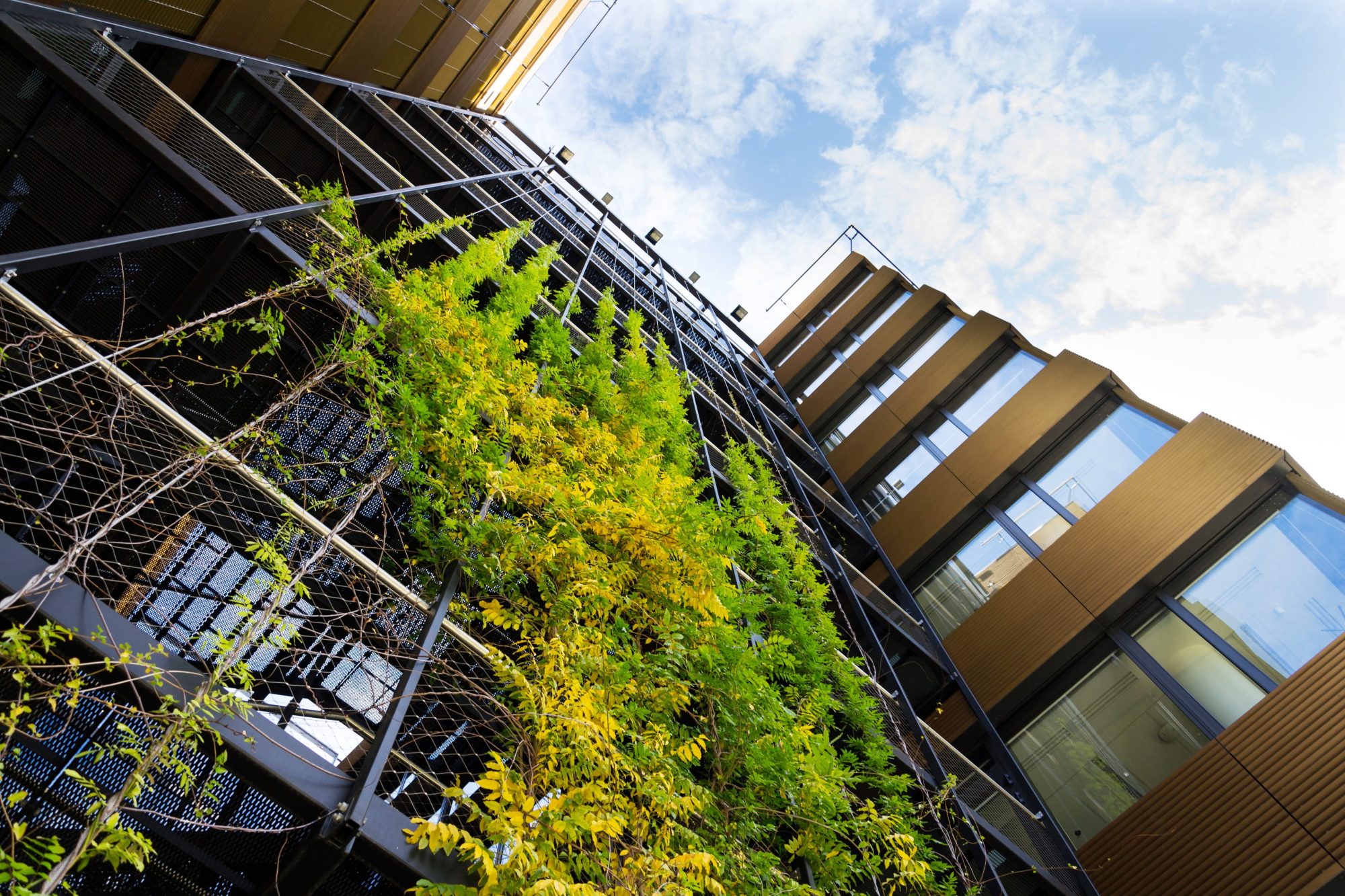 6 Innovative Green Building Ideas For Your Next Commercial Remodel
